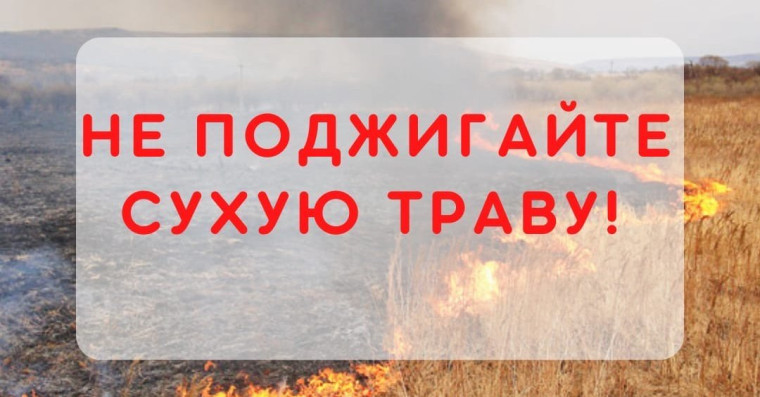 Весенний пал травы - опасная традиция!. Весенний пал травы - опасная традиция!.